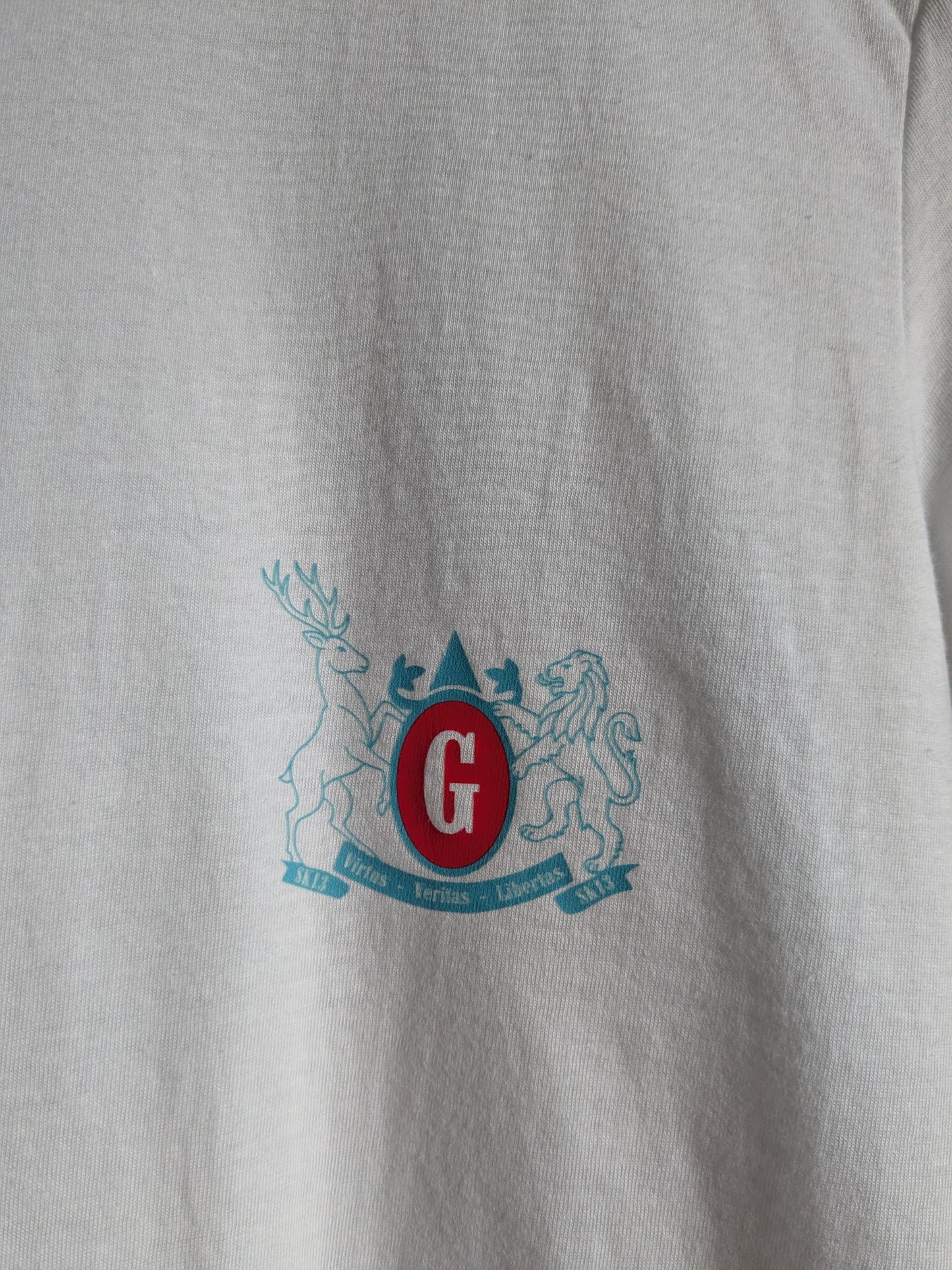 Glossop Wood Pushing Co. "City Lies In Dust" T-Shirt